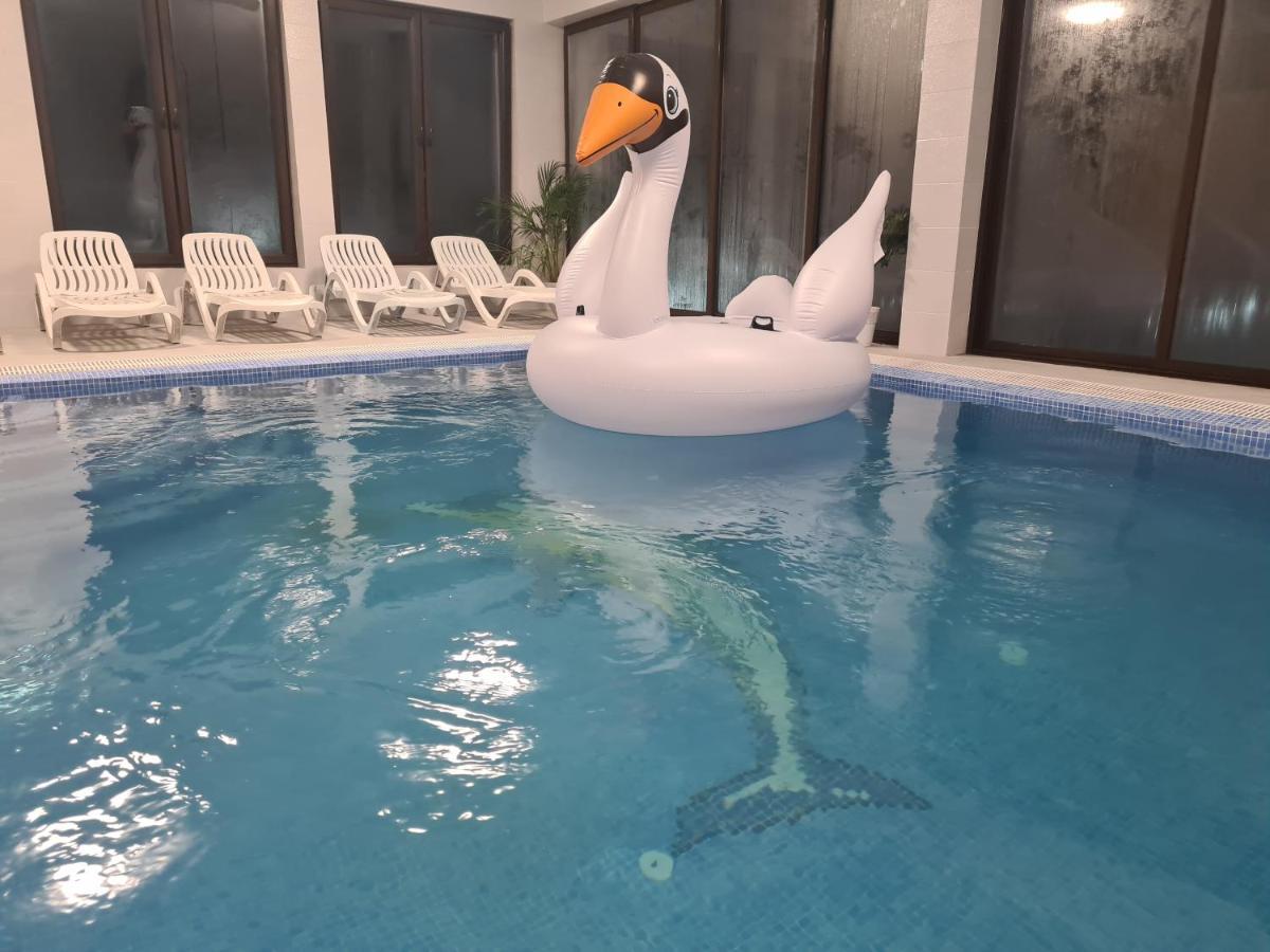 Pensiunea Gold Wellness&Spa Chiscau Zewnętrze zdjęcie